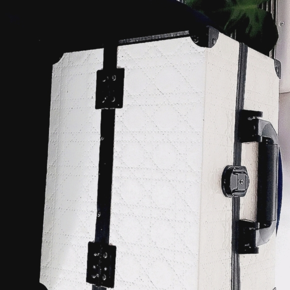 Make up train case